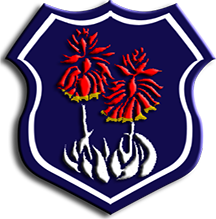 Mondeor High